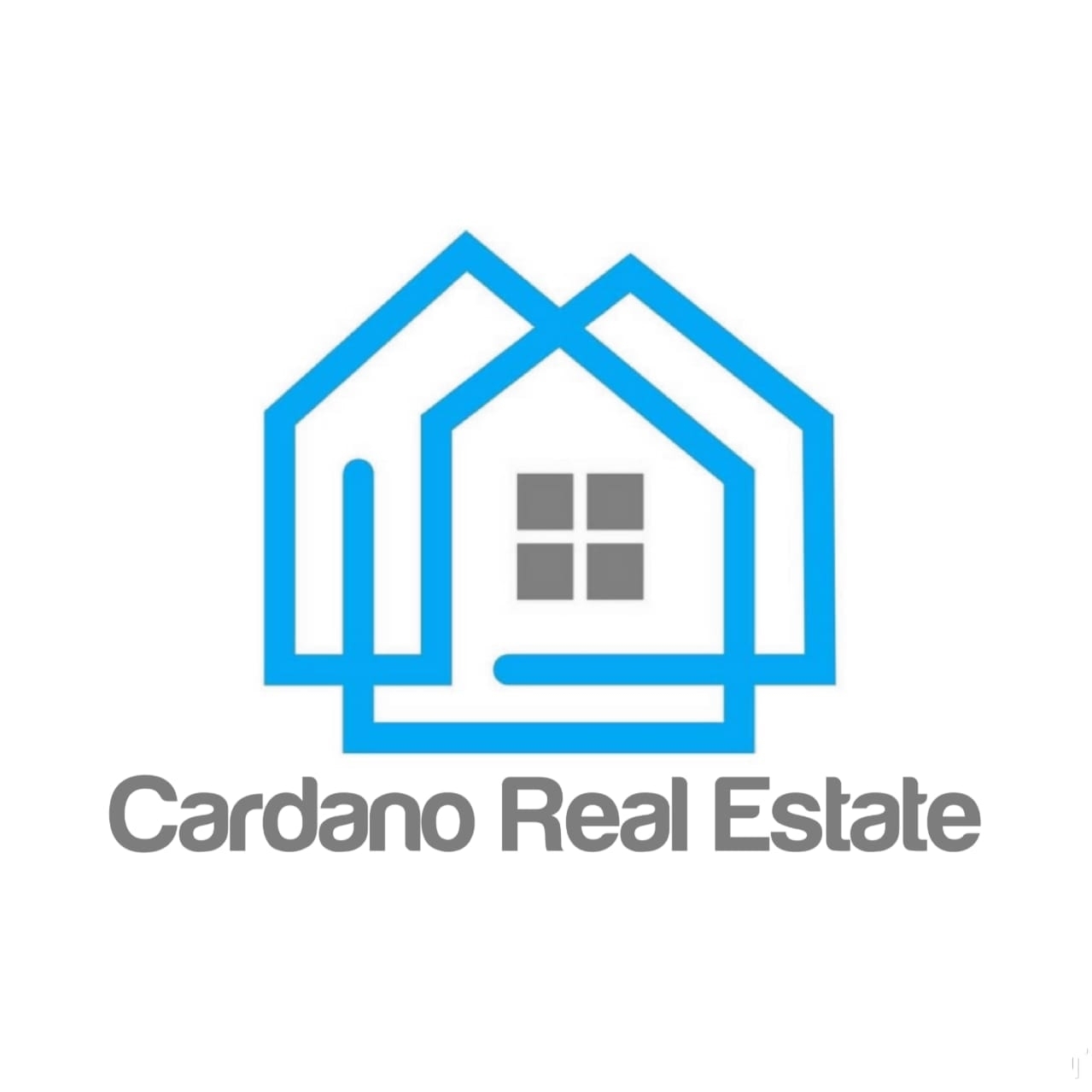 Cardano Real Estate -Real Estate